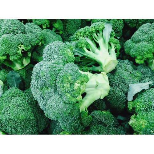 Broccoli