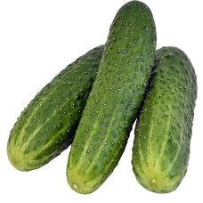 Cucumber ( শসা )