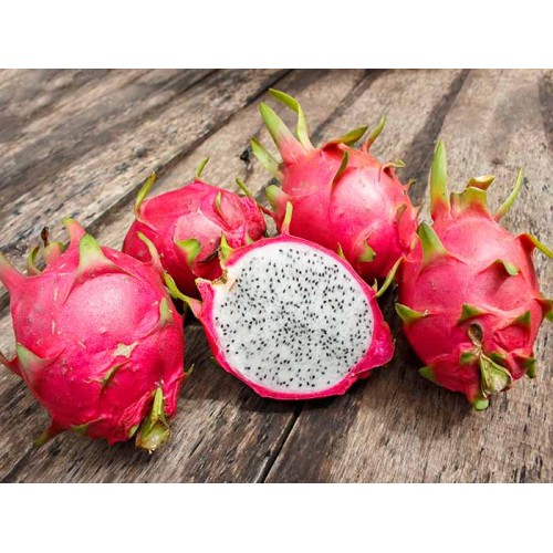 Dragon Fruit 
