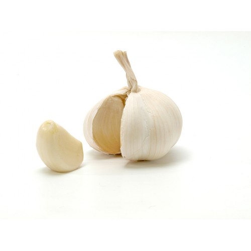 Garlic (Big) Roshun Premium
