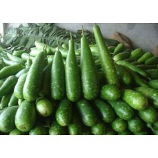 Lau (লাউ )