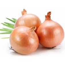 Onion (Desi)